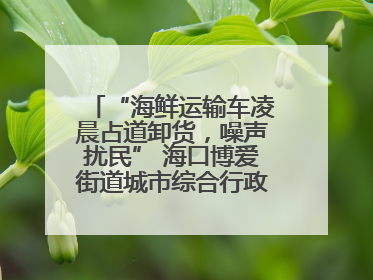 “海鲜运输车凌晨占道卸货，噪声扰民” 海口博爱街道城市综合行政执法中队：将联合交警加强长堤路一带巡逻