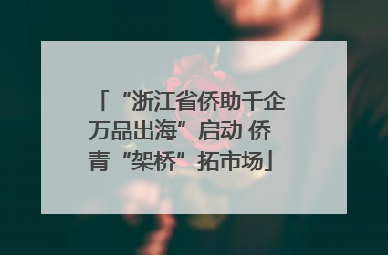 “浙江省侨助千企万品出海”启动 侨青“架桥”拓市场