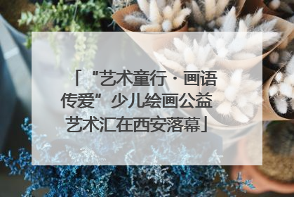“艺术童行・画语传爱”少儿绘画公益艺术汇在西安落幕