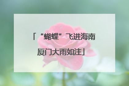 “蝴蝶”飞进海南 厦门大雨如注