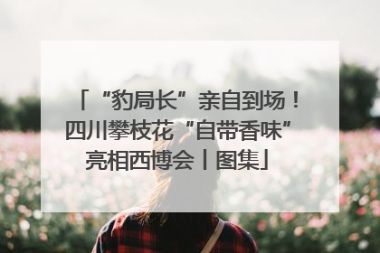 “豹局长”亲自到场！四川攀枝花“自带香味”亮相西博会丨图集