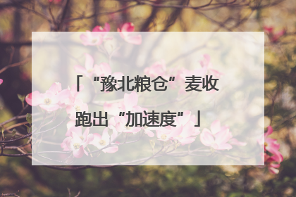 “豫北粮仓”麦收跑出“加速度”