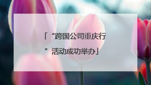 “跨国公司重庆行”活动成功举办