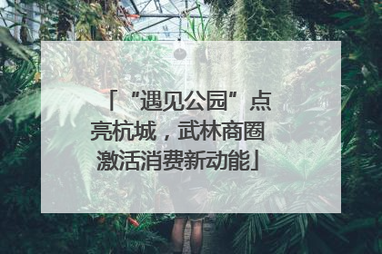 “遇见公园”点亮杭城，武林商圈激活消费新动能