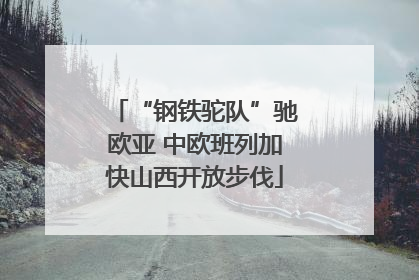 “钢铁驼队”驰欧亚 中欧班列加快山西开放步伐