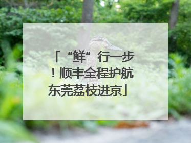 “鲜”行一步！顺丰全程护航东莞荔枝进京