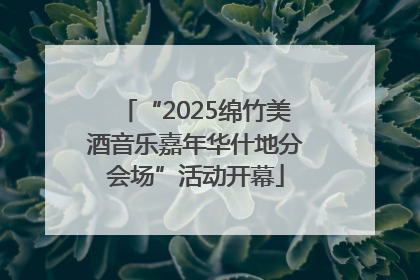 “2025绵竹美酒音乐嘉年华什地分会场”活动开幕
