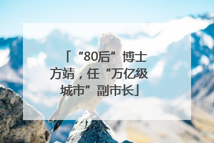 “80后”博士方靖，任“万亿级城市”副市长