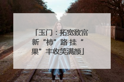 玉门：拓宽致富新“柿”路 挂“果”丰收笑满颜