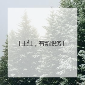 王红，有新职务