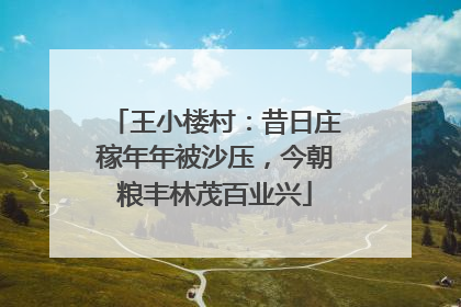 王小楼村：昔日庄稼年年被沙压，今朝粮丰林茂百业兴