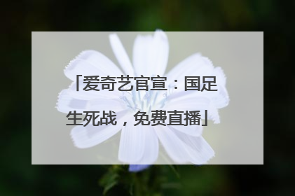 爱奇艺官宣：国足生死战，免费直播