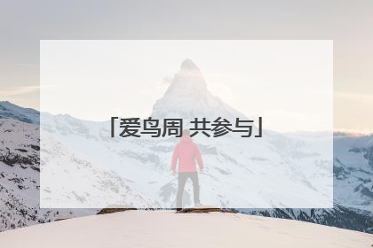 爱鸟周 共参与