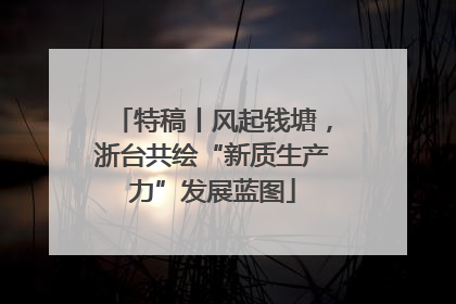 特稿丨风起钱塘，浙台共绘“新质生产力”发展蓝图