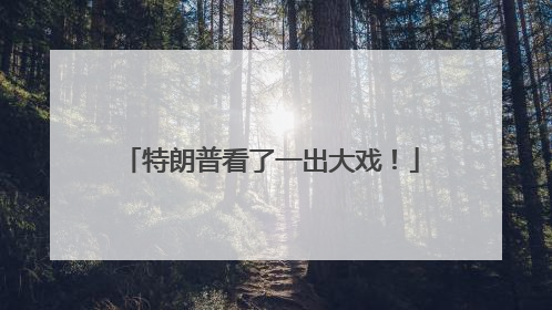 特朗普看了一出大戏！