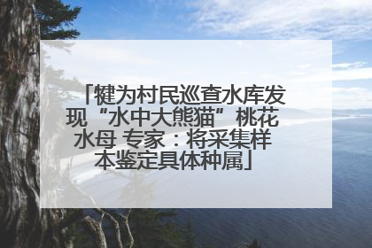 犍为村民巡查水库发现“水中大熊猫”桃花水母 专家：将采集样本鉴定具体种属