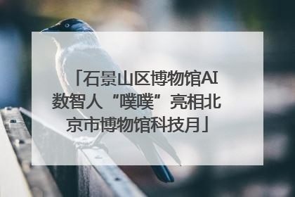 石景山区博物馆AI数智人“噗噗”亮相北京市博物馆科技月