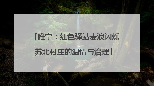 睢宁：红色驿站麦浪闪烁 苏北村庄的温情与治理