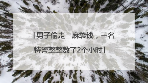 男子偷走一麻袋钱，三名特警整整数了2个小时
