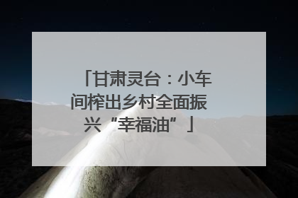 甘肃灵台：小车间榨出乡村全面振兴“幸福油”