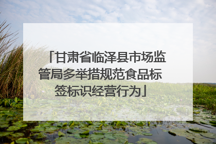 甘肃省临泽县市场监管局多举措规范食品标签标识经营行为
