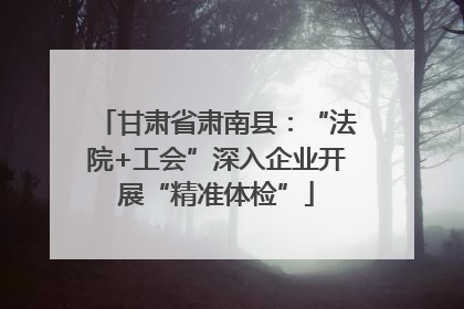 甘肃省肃南县：“法院+工会”深入企业开展“精准体检”
