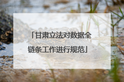 甘肃立法对数据全链条工作进行规范