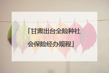 甘肃出台全险种社会保险经办规程