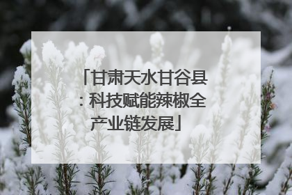甘肃天水甘谷县：科技赋能辣椒全产业链发展