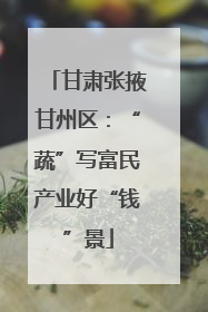 甘肃张掖甘州区：“蔬”写富民产业好“钱”景