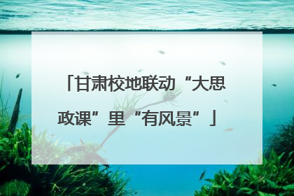 甘肃校地联动“大思政课”里“有风景”