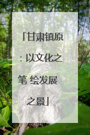 甘肃镇原：以文化之笔 绘发展之景