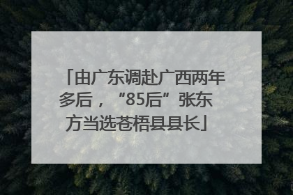 由广东调赴广西两年多后，“85后”张东方当选苍梧县县长