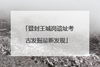 登封王城岗遗址考古发掘最新发现