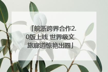 皖浙跨界合作2.0版上线 世界级文旅廊道惊艳出圈