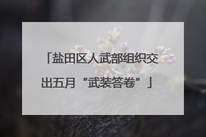 盐田区人武部组织交出五月“武装答卷”