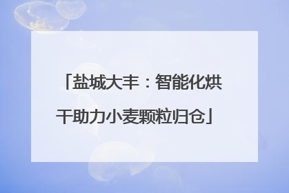 盐城大丰：智能化烘干助力小麦颗粒归仓