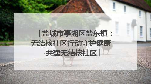 盐城市亭湖区盐东镇：无结核社区行动守护健康 ·共建无结核社区