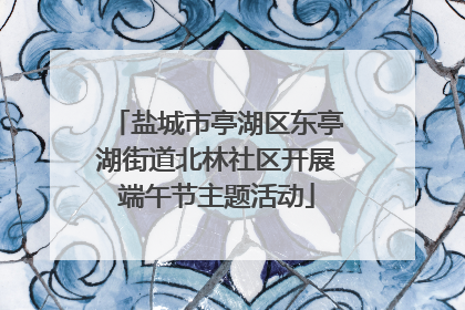 盐城市亭湖区东亭湖街道北林社区开展端午节主题活动
