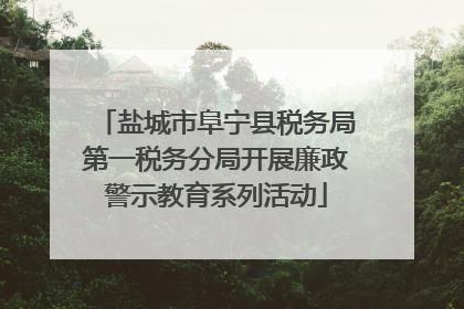 盐城市阜宁县税务局第一税务分局开展廉政警示教育系列活动
