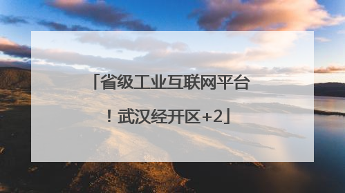 省级工业互联网平台！武汉经开区+2
