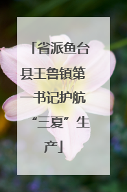 省派鱼台县王鲁镇第一书记护航“三夏”生产