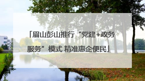 眉山彭山推行“党建+政务服务”模式 精准惠企便民