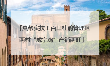 真帮实扶！百里杜鹃管理区两村“威宁鸡”产销两旺