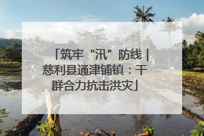 筑牢“汛”防线｜慈利县通津铺镇：干群合力抗击洪灾