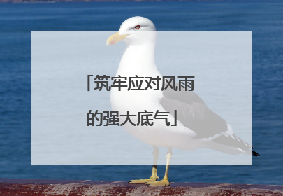 筑牢应对风雨的强大底气