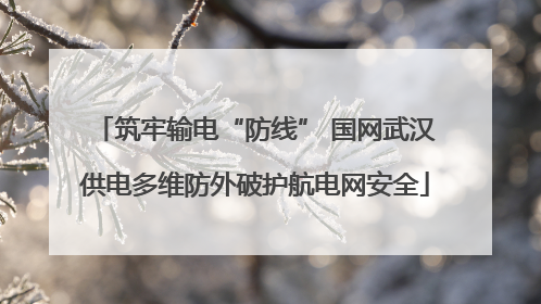 筑牢输电“防线” 国网武汉供电多维防外破护航电网安全