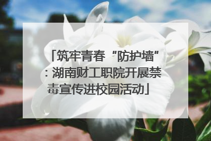 筑牢青春“防护墙”：湖南财工职院开展禁毒宣传进校园活动