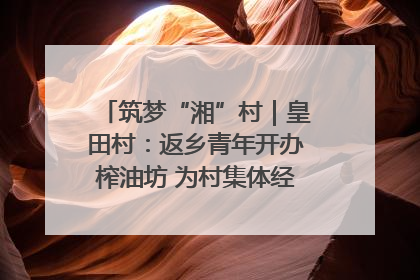 筑梦“湘”村｜皇田村：返乡青年开办榨油坊 为村集体经济“加油”