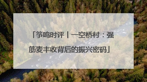 筝鸣时评丨一空桥村：强筋麦丰收背后的振兴密码